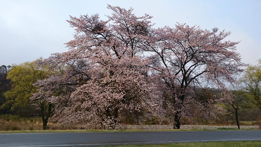 Kansuien Kakuraku Nasushiobara Extérieur photo